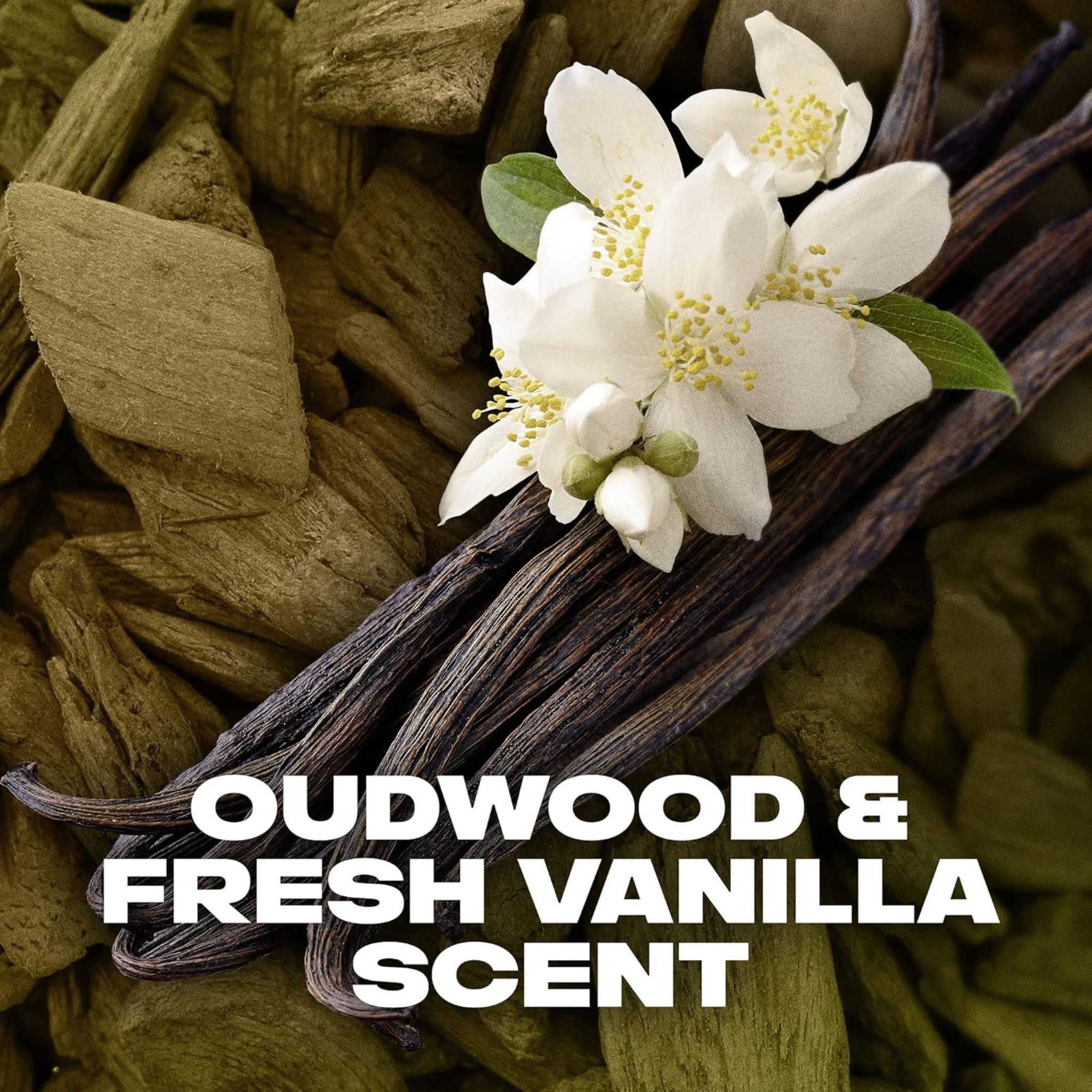 AXE GOLD Deodorant Body Spray for Men – Oud Wood & Vanilla scent – Pack of 6, 150ml per can