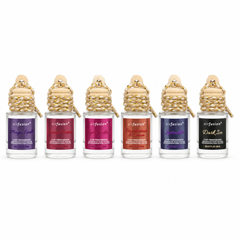 Airfusion Hanging Car Air Freshener, 6 Assorted Scents, 8ml, 24 Piece Display Box
