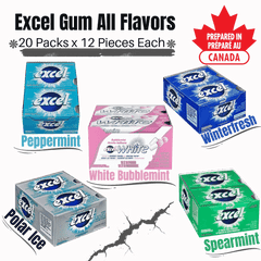 Excel Gum (All Flavors) – 12 Packs (12 Pieces Each) – Sugar-Free Chewing Gum