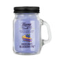 Angelina’s Blueberry Pie scented smoke-killing candle in reusable mason jar - 4oz.