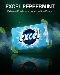 EXCEL Sugar-Free Chewing Gum – Assorted Flavours – 12 Packs (12 Pieces Each)