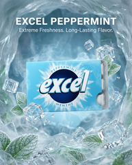 EXCEL Sugar-Free Chewing Gum – Assorted Flavours – 12 Packs (12 Pieces Each)