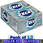 EXCEL Polar Ice Flavour Sugar-Free Gum – 12 Packs (12 Pieces Each) | Sugar-Free Chewing Gum