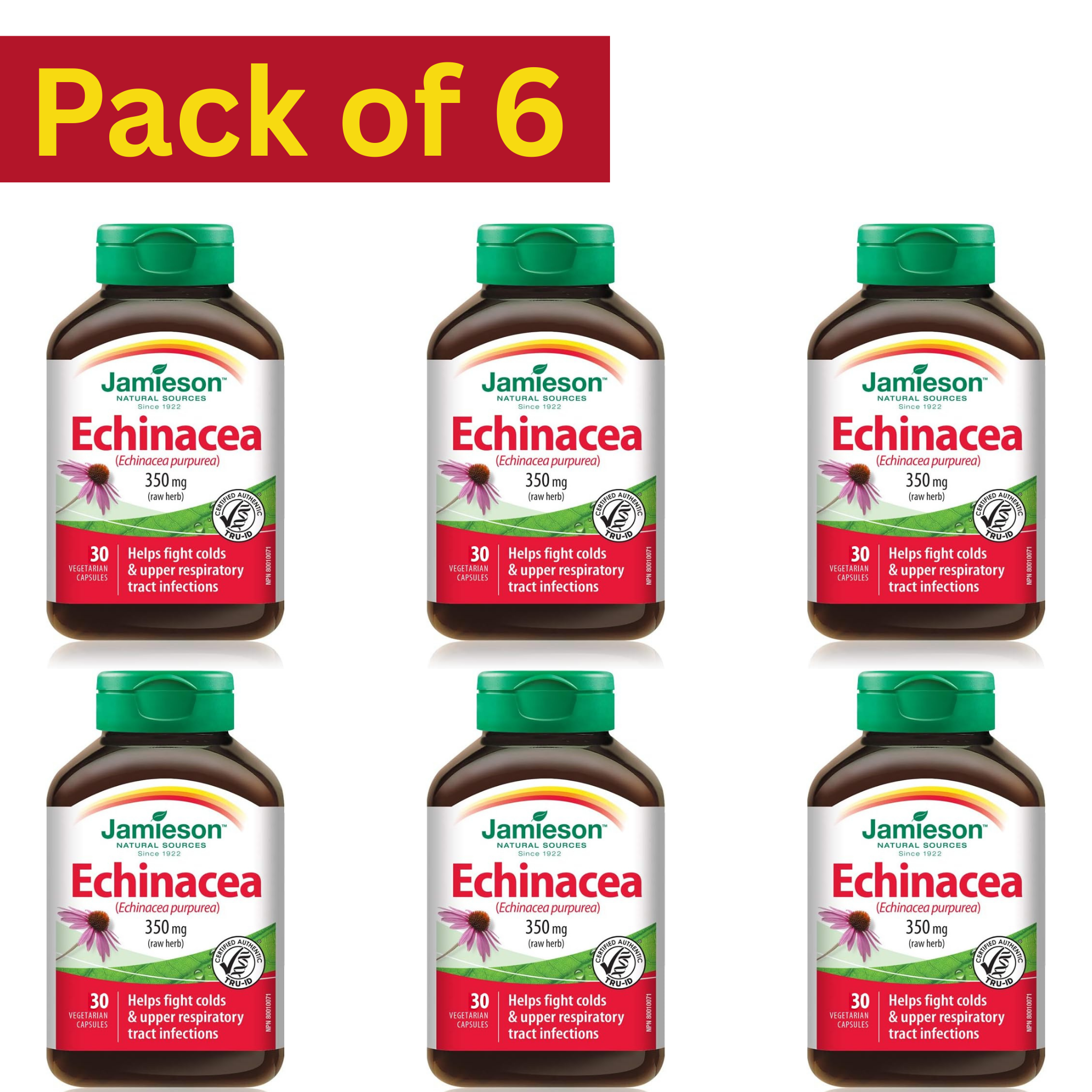 Jamieson Echinacea Purpurea 350mg – 30 Vegetarian Capsules Pack of 6 – Immune Support Supplement