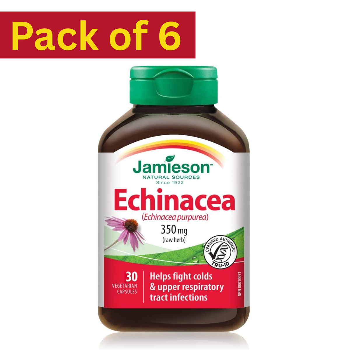 Jamieson Echinacea Purpurea 350mg – 30 Vegetarian Capsules Pack of 6 – Immune Support Supplement
