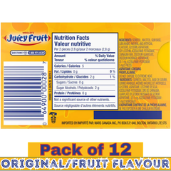 Juicy Fruit Original Fruit Flavoured Sugar-Free Chewing Gum – 12 Pieces per pack – Pack of 12