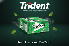 Trident Spearmint Flavour Sugar-Free Chewing Gum – 14 Pieces – Pack of 12