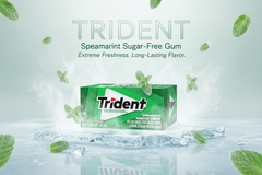 Trident Spearmint Flavour Sugar-Free Chewing Gum – 14 Pieces – Pack of 12