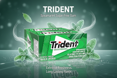 Trident Sugar-Free Chewing Gum – Assorted Flavours – 14 Pieces – Pack of 12