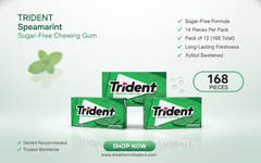 Trident Spearmint Flavour Sugar-Free Chewing Gum – 14 Pieces – Pack of 12