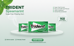 Trident Spearmint Flavour Sugar-Free Chewing Gum – 14 Pieces – Pack of 12