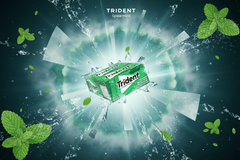 Trident Spearmint Flavour Sugar-Free Chewing Gum – 14 Pieces – Pack of 12