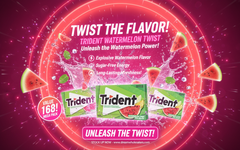 Trident Watermelon Twist Flavour Sugar-Free Chewing Gum – 14 Pieces – Pack of 12