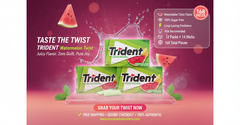 Trident Sugar-Free Chewing Gum – Assorted Flavours – 14 Pieces – Pack of 12