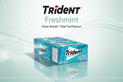 Trident Sugar-Free Chewing Gum – Assorted Flavours – 14 Pieces – Pack of 12