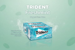 Trident FreshMint Flavour Sugar-Free Chewing Gum – 14 Pieces – Pack of 12