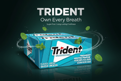 Trident Sugar-Free Chewing Gum – Assorted Flavours – 14 Pieces – Pack of 12