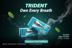 Trident FreshMint Flavour Sugar-Free Chewing Gum – 14 Pieces – Pack of 12