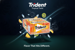 Trident Sugar-Free Chewing Gum – Assorted Flavours – 14 Pieces – Pack of 12