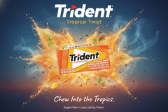 Trident Sugar-Free Chewing Gum – Assorted Flavours – 14 Pieces – Pack of 12